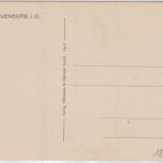 Niedersachsen - Neuenburg Geschäftshaus Schule etc. sw-Mehrbild-AK ca. 1910