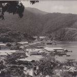 Niederl. Neuguinea - 1+5 C. Paradiesvogel Werbedrucksache Hollandia 1962