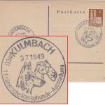 Bizone - Kulmbach 1949 1. Fränk. Rassehunde-Ausstellung SST Drucksache