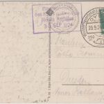 DR - Oybin 1924 Handwerbestpl. Auerhahn Karte n. Dresden