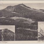 DR - Oybin 1924 Handwerbestpl. Auerhahn Karte n. Dresden