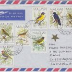 Malawi - 20 T. Vögel u.a. Luftpostbrief i.d. SCHWEIZ Mtakataka Beromünster 1990