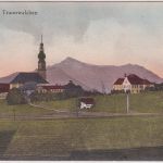 Bayern - Traunwalchen farb. Ortsansicht ungelaufen/beschriftet ca. 1915
