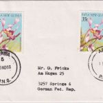 Papua Neuguinea - 2x35 t Orchideen Brief Arawa - Springe 1986