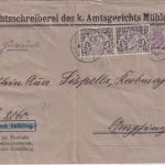 Bayern - 2x25 Pfg. Staatswappen Zustellurkunde Mühldorf - Ampfing 1916
