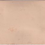 Rheinl.-Pfalz - Gruss aus Mainz Ortsansicht ca. 1890 a. Karton m. Trockenblumen