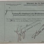 DR - 50+25+5 Pfg. K/A Paketkarte n. BELGIEN Fulda - Brüssel 1893