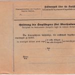 DR - 1 M. Reichspostamt u.a. Paketkarte n. BULGARIEN Triebes - Rustschuk 1915