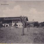Bayern - Thansau (Rohrdorf) Hauptstraße Bauernhöfe sw-AK gelaufen 1918