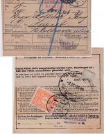 DR - Lüdenscheid 1927 Paketkarte (Selbstbucher Gebr. Noelle) n. JUGOSLAWIEN