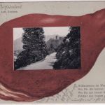 NRW - Altena Schloss "Schinken"-Passepartout-AK gelaufen 1912