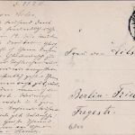 Hessen - Darmstadt Großer Woog m. Mathildenhöhe sw-AK gelaufen 1911