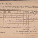 DR - 5 Pfg. Eilbotenkarte (Eilgebühr bar erhoben) Reichenbach - Werdau 1887