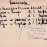 DR - 6 Pfg. Hindenburg Bildganzsache Affenfelsen Zoo Leipzig Döbeln München 1937