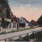 Niedersachsen - Bad Harzburg Straßenansicht Molkenhaus AK ungelaufen ca. 1915