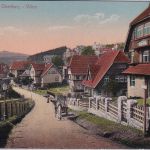Niedersachsen - Braunlage i. Harz Straßenansicht Villen AK ungelaufen ca. 1910
