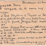 Niederl. Indien - 5 C. Wilhelmina Ganzsache+Zusatz Luftpostkarte Bonduwoso 1932