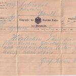 DR - Lopshorn (Jagdschloss Fürst zu Lippe) Telegramm n. Detmold 3. Sept. 1903