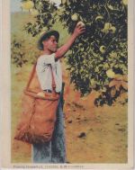 Trinidad & Tobago - 4 C. Freimarke Karte n. Eschweiler 1950