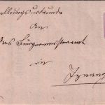 DR - 5 Pfg. Zustellurkunde/Landbestellbereich Radolfzell - Iznang 1882