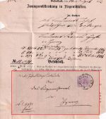DR - 5 Pfg. Zustellurkunde/Landbestellbereich Radolfzell - Iznang 1882