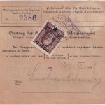 DR - 3x40+5 Pfg. Germania Paketkarte n. ÖSTERREICH Leipzig - Graz 1919