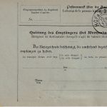 DR - 2x80 Pfg. Germania Paketkarte i.d. SCHWEIZ Plauen - Frauenfeld 1909