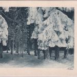 DR - Grosssachsenheim 14. JAN 25 K1 Karte i.d. SCHWEIZ