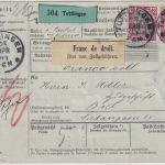 DR - 2x40 Germania o.Wz. Paketkarte i.d. SCHWEIZ Tuttlingen - Biel 1904