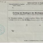 DR - 2x40 Germania o.Wz. Paketkarte i.d. SCHWEIZ Tuttlingen - Biel 1904