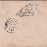 Württemberg - Wildbad 1884 Zierbrief (Schwalbe) n. Nürnberg
