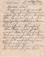 DR - Baden-Baden 1913 Brief m. Inhalt (illustrierter Briefkopf) n. Riva/Gardasee