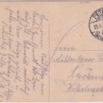 Brandenburg - Merzdorf b. Petkus Gasthof etc. farb. Mehrbild-AK gelaufen 1914