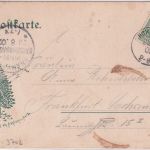 Sachsen-Anhalt - Benneckenstein Wildbach- u. Bahnhofstraße sw-AK 1902