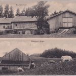 Bayern - Valley Ekmanshof Ekamns Alpe sw-Mehrbild-AK ungelaufen ca. 1910