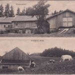 Bayern - Valley Ekmanshof Ekamns Alpe sw-Mehrbild-AK gelaufen 1924