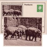BRD - 10 Pfg. Heuss Medaillon Bildganzsache Zoo Hannover Elephanten ungebraucht