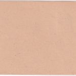 BRD - Braunschweig 100 J. Briefmarke 6. Bundestag BDPh SST Drucksache 1952