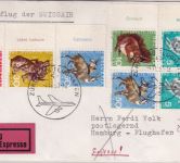 Schweiz - SWISSAIR Erstflug Zürich/Hamburg Lupo-Eilbrief 4.6.67