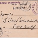 DR - Donaueschingen 1900 Portopflichtige Dienstsache/Postkarte n. Hornberg