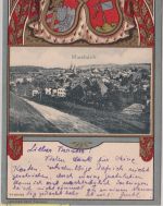 Bayern - Miesbach farb. Wappen-Passepartout-AK gelaufen 1905