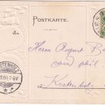 Bayern - Miesbach farb. Wappen-Passepartout-AK gelaufen 1905