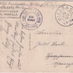 Bayern - Bayer. Tragtierkol. Ers.Abt. Miesbach Feldpostkarte n. Herxheim 1917