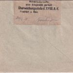 Schweiz - 25 Rp. sitz. Helvetia Zensurbrief n. Mainz 1917 - Zensur Frankfurt a/M