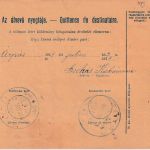 Ungarn/Slowakei - 10 F. Paketkarte + Zusatz Dunaszerdahely - Egyed 1918
