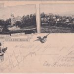 Thüringen - Schleusingen Villa Anna u.a. sw-Mehrbild-AK gelaufen 1897
