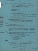 DR - 20 Pfg. Ortszustellurkunde Teichwitz - Weida 1883