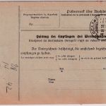 DR - 50+30 Pfg. Germania Paketkarte i.d. SCHWEIZ Selbstbucher Leipzig 4 1910