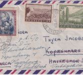 Argentinien - 10 P. Kakteen u.a. Luftpostbrief n. DÄNEMARK 1960 Weiterleitung