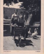 DR - 50+5 Pfg. Adler/Weltkugel Luftpostkarte n. NIEDERL. INDIEN Remscheid 1938